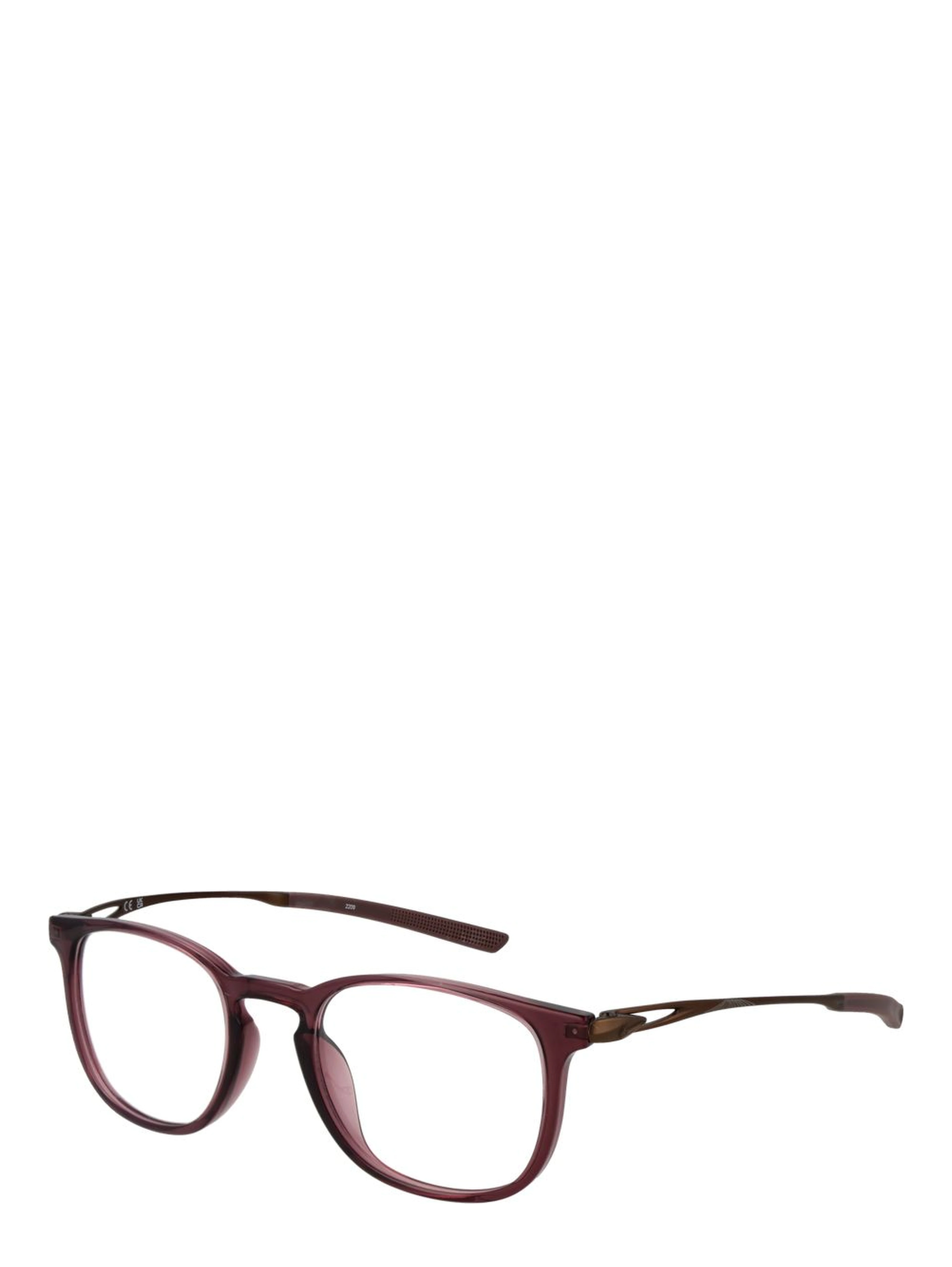Brown Titanium Glasses (Frames)