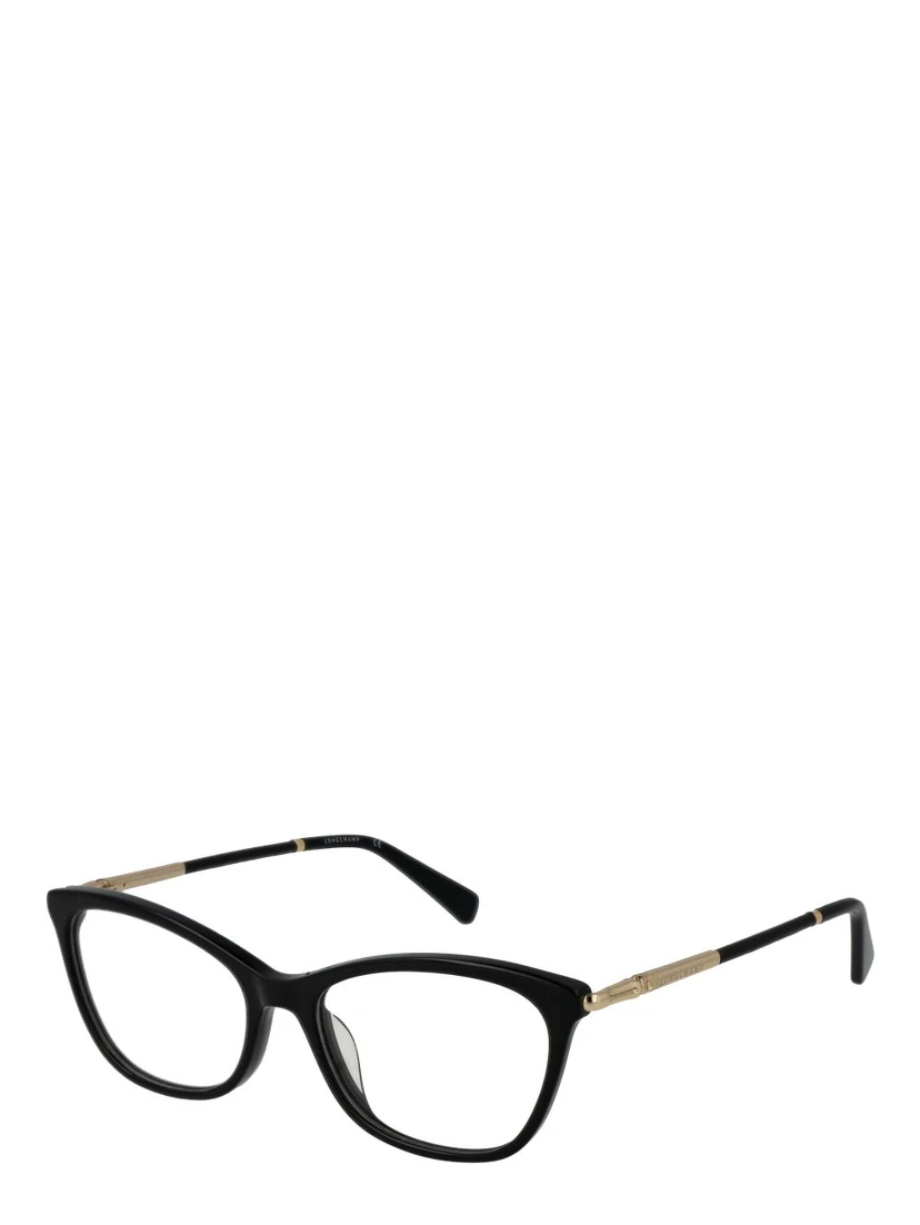 Black Plastic Glasses (Frames)