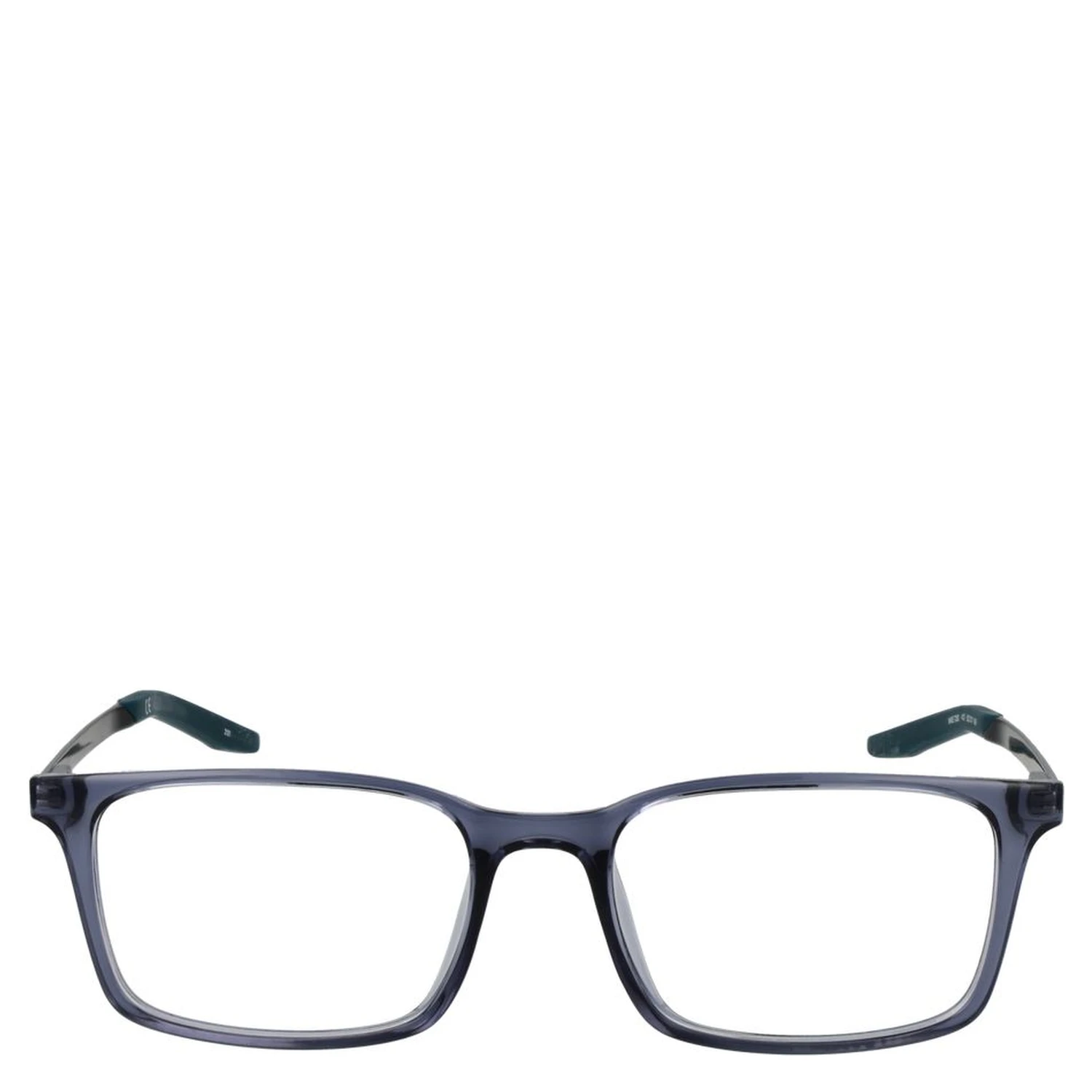 Blue Plastic Glasses (Frames)