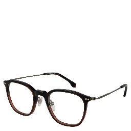 Brown Metal Glasses (Frames)