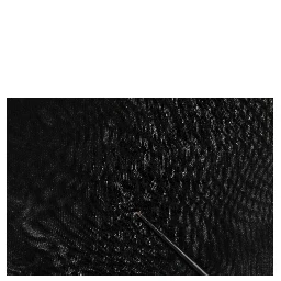 Black Logo Polyester CrewNeck Sweatshirt Sweater