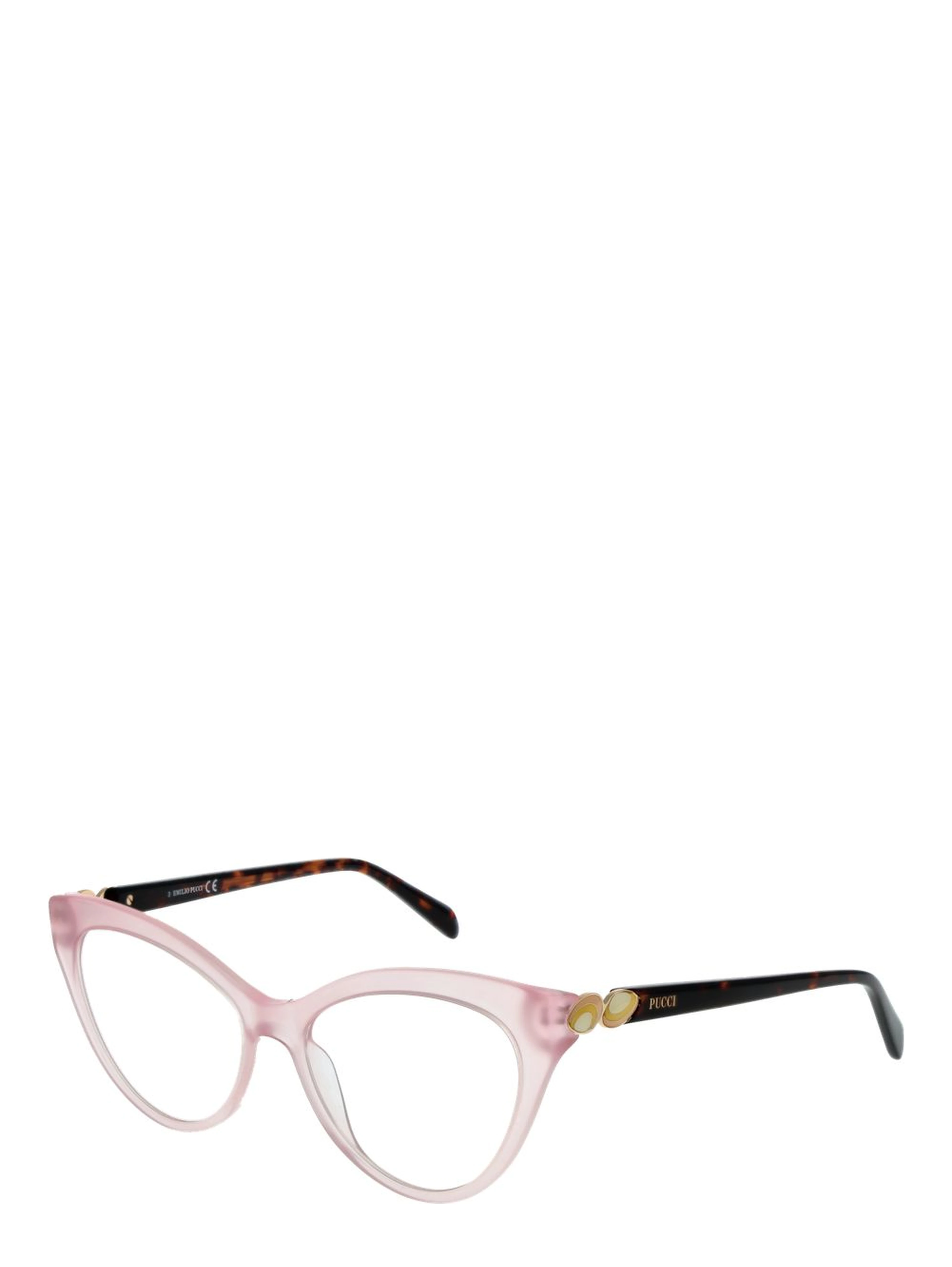 Pink Plastic Glasses (Frames)