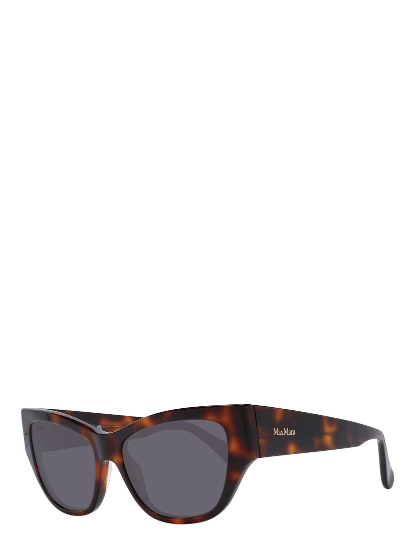 Brown Plastic Sunglasses