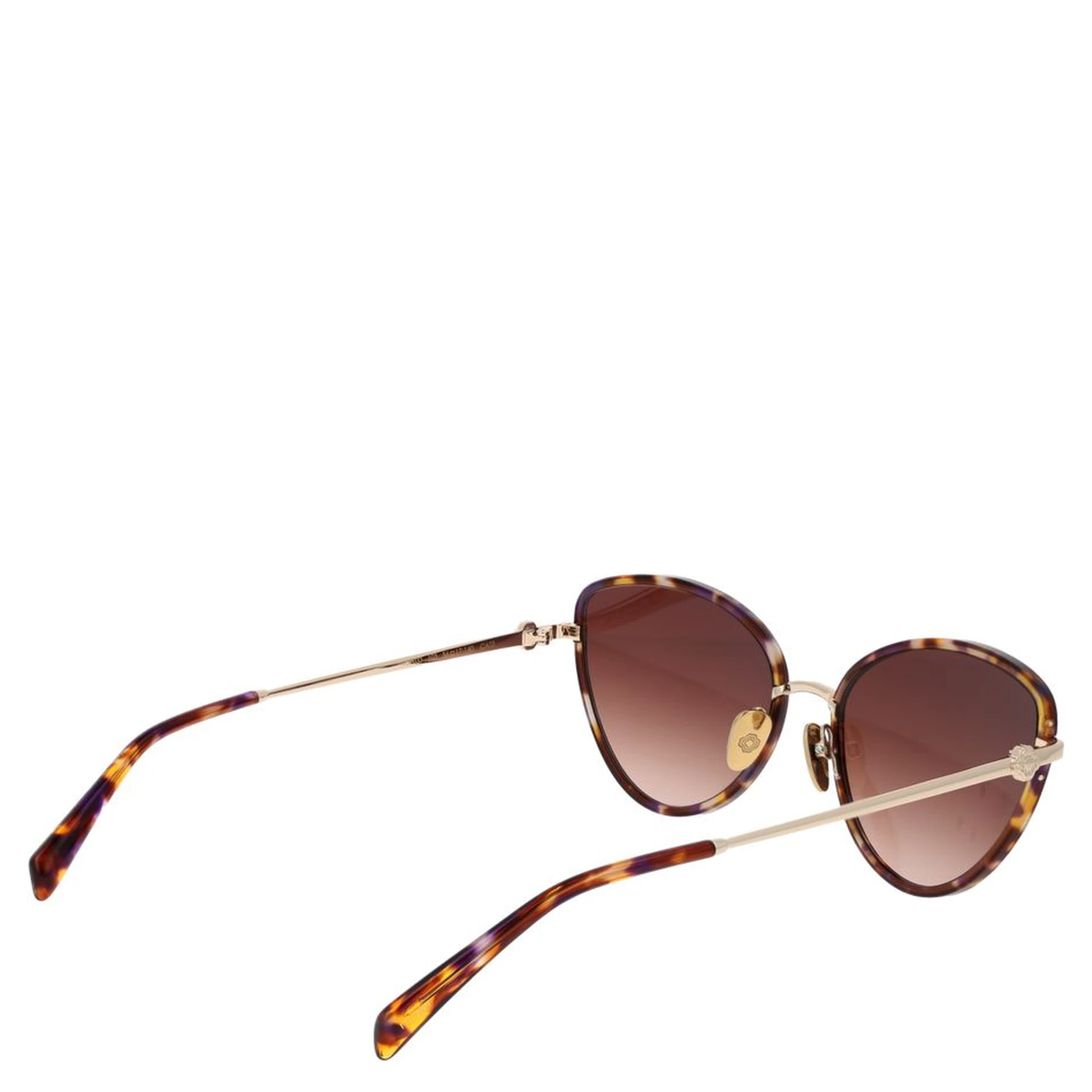 Brown Acetate Sunglasses