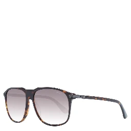 Brown Plastic Sunglasses