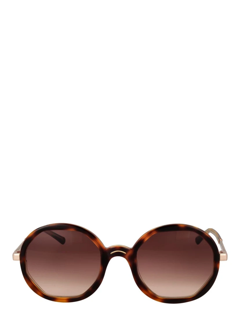 Brown Acetate Sunglasses