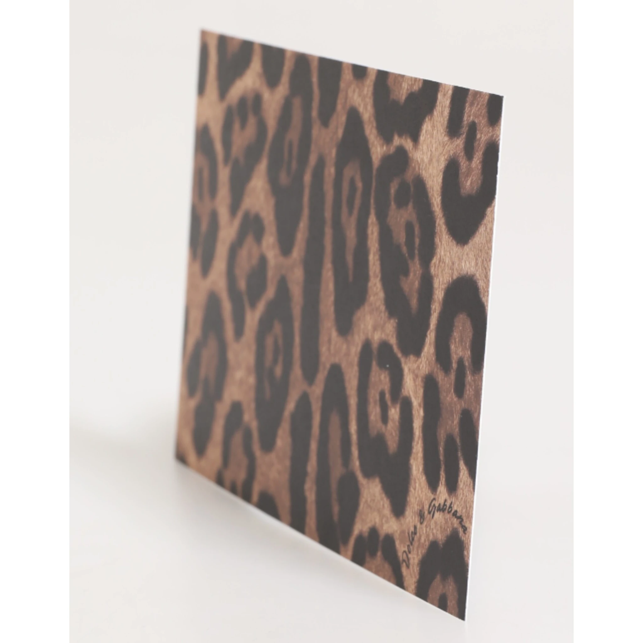 Multicolor Leopard Print Envelope Paper Post Card Holder