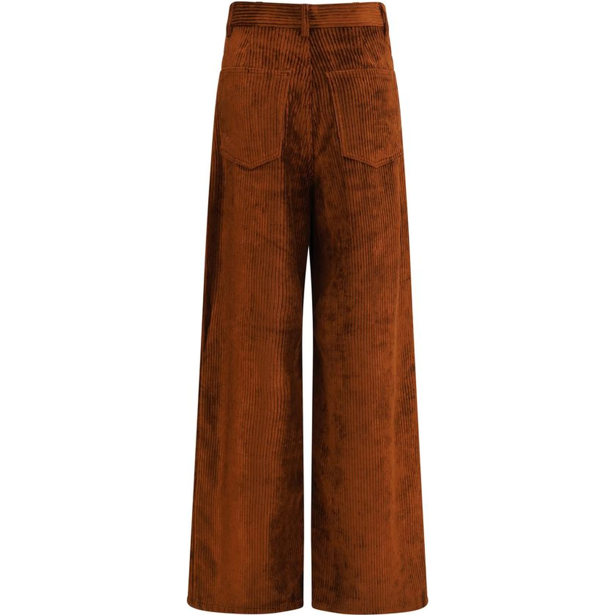 Brown Cotton Casual Pants