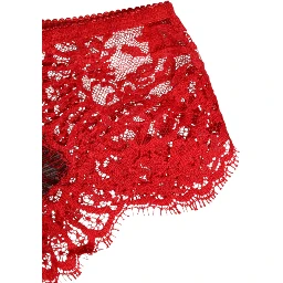 Red Floral Lace Sheer Briefs Women Underwear