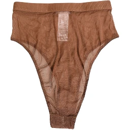 Brown Sheer Mesh High Waist Briefs Underwear