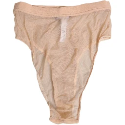Beige Sheer Mesh High Waist Panty Underwear