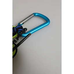 Multicolor Polyester Tape String DG Logo Keychain Keyring