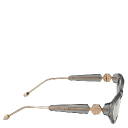 Transparent Cellulose Acetate Glasses (Frames)