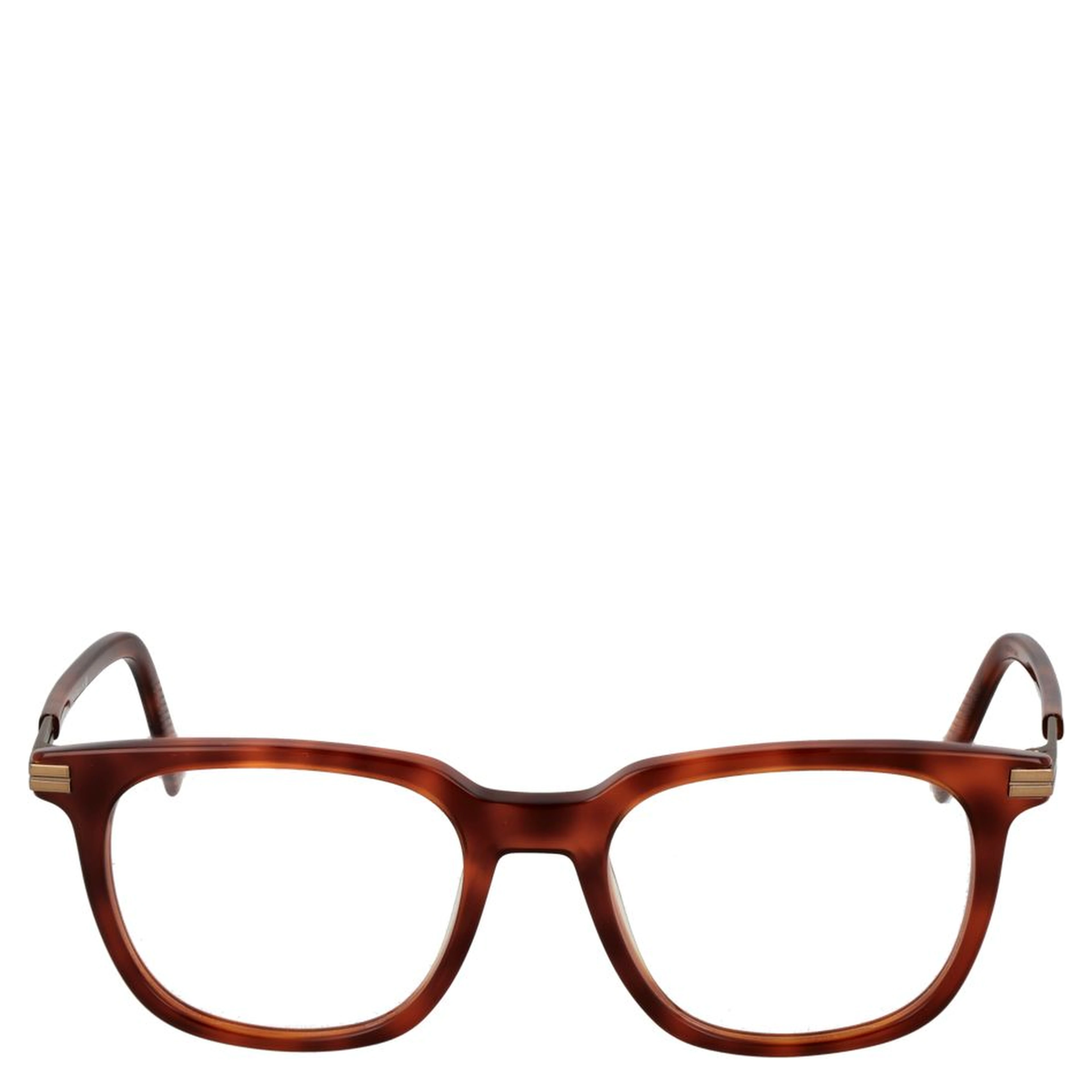 Brown Acetate Glasses (Frames)