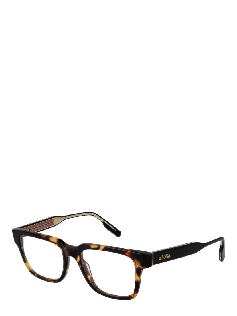 Brown Acetate Glasses (Frames)