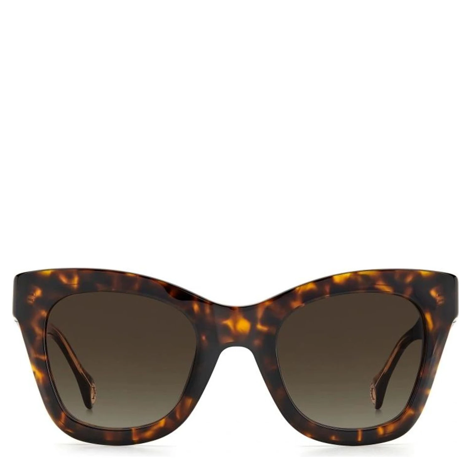 Brown Acetate Sunglasses