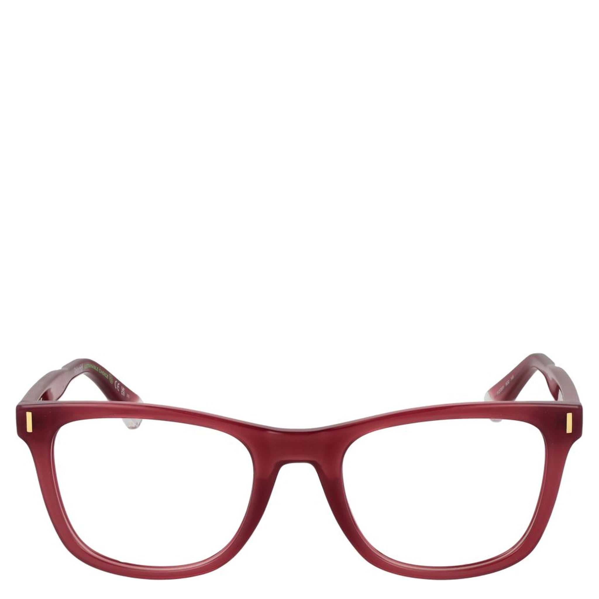 Red Plastic Glasses (Frames)