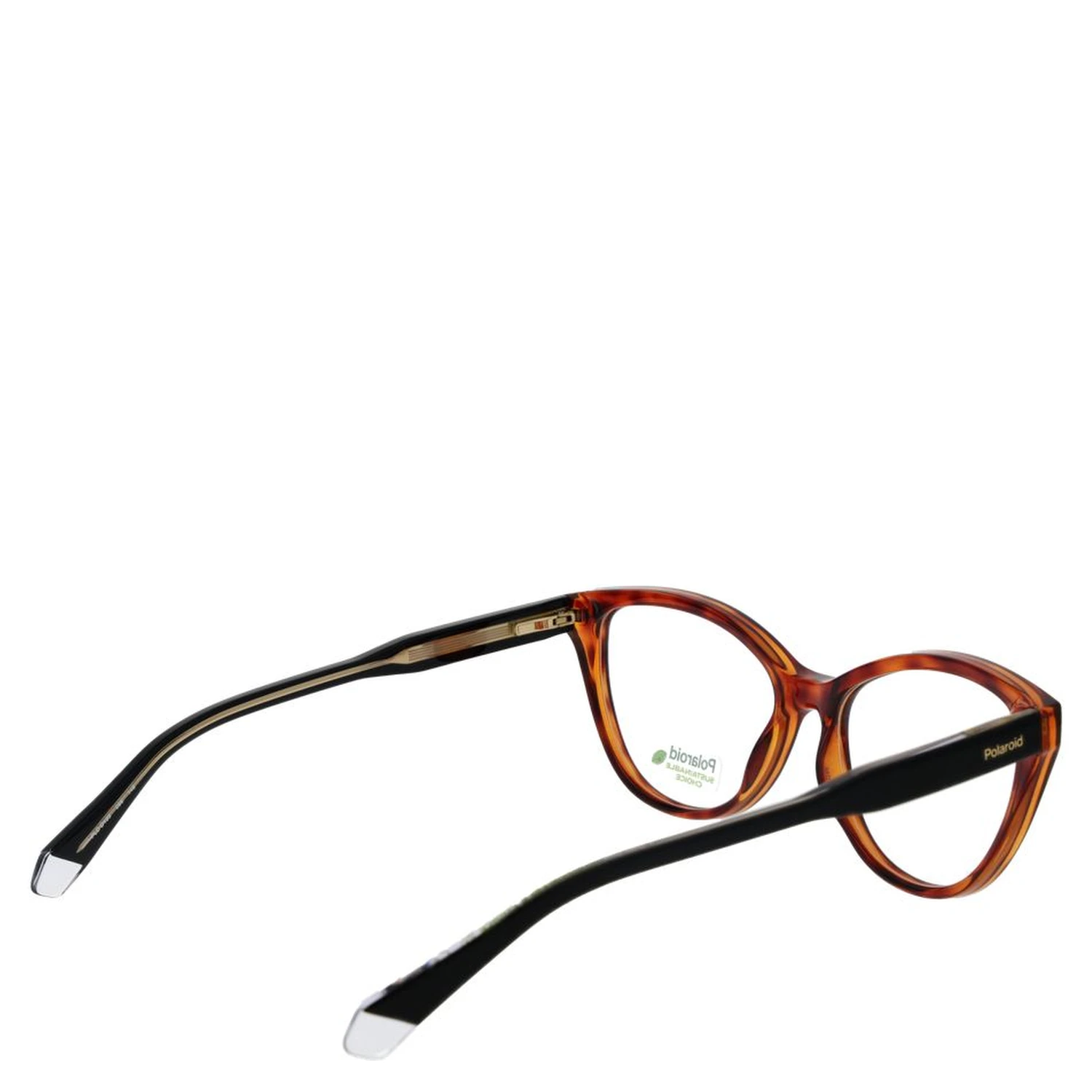 Brown Cellulose Propionate Glasses (Frames)
