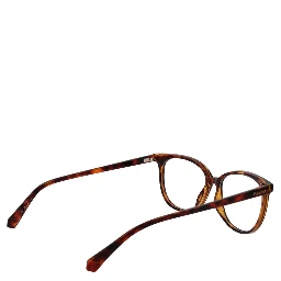 Brown Polyamide Glasses (Frames)