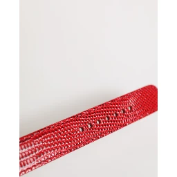 Red Exotic Leather Gold Tone Metal Buckle Women Armband