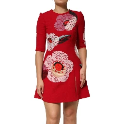 Red Lace Floral Applique A-line Mini Dress