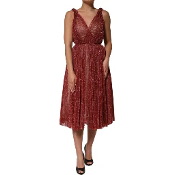 Burgundy Mesh Sleeveless Midi A-line Dress