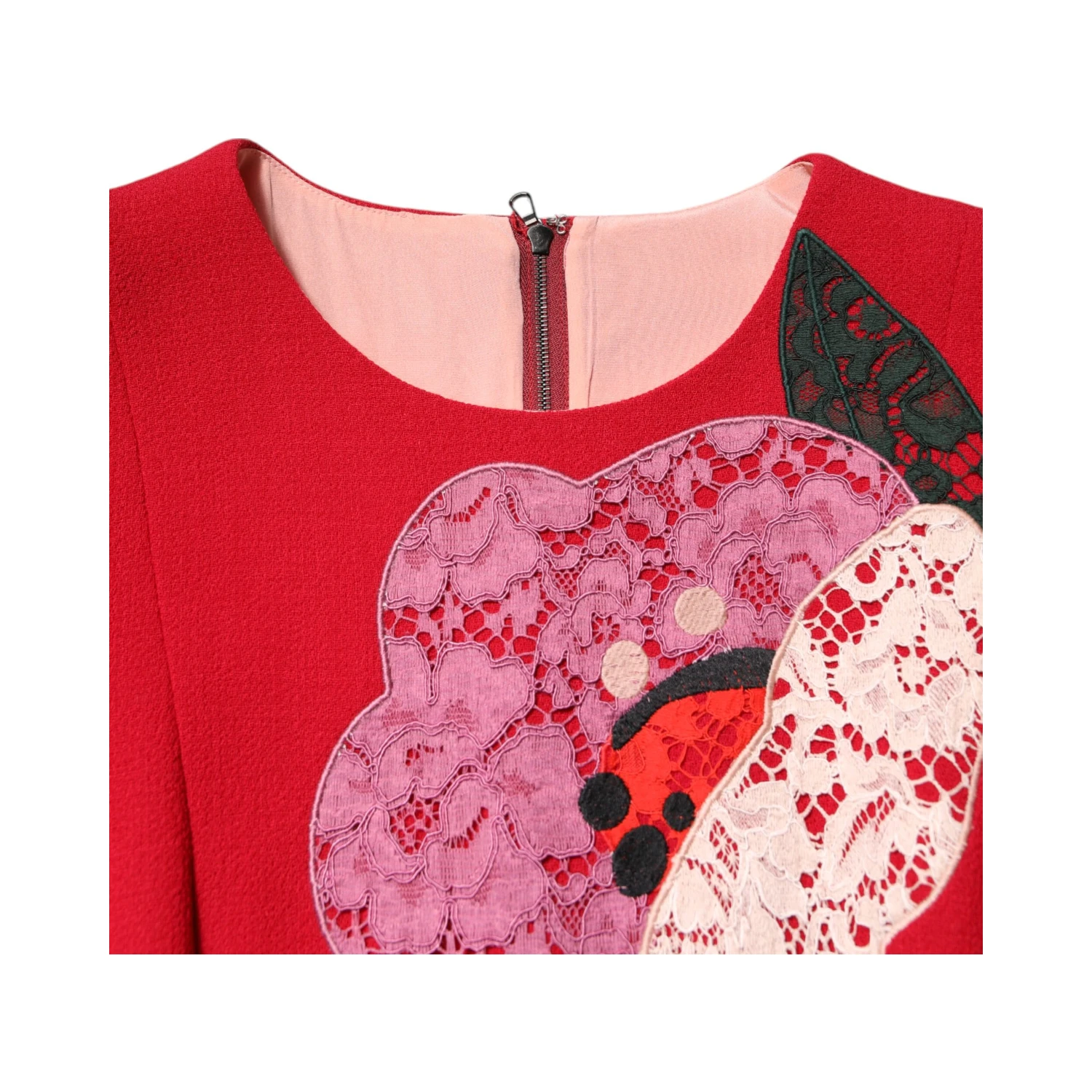 Red Lace Floral Applique A-line Mini Dress