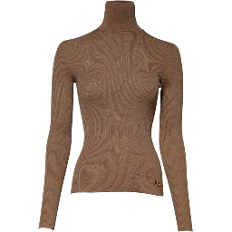 Brown Knit Long Sleeves Turtleneck Sweater