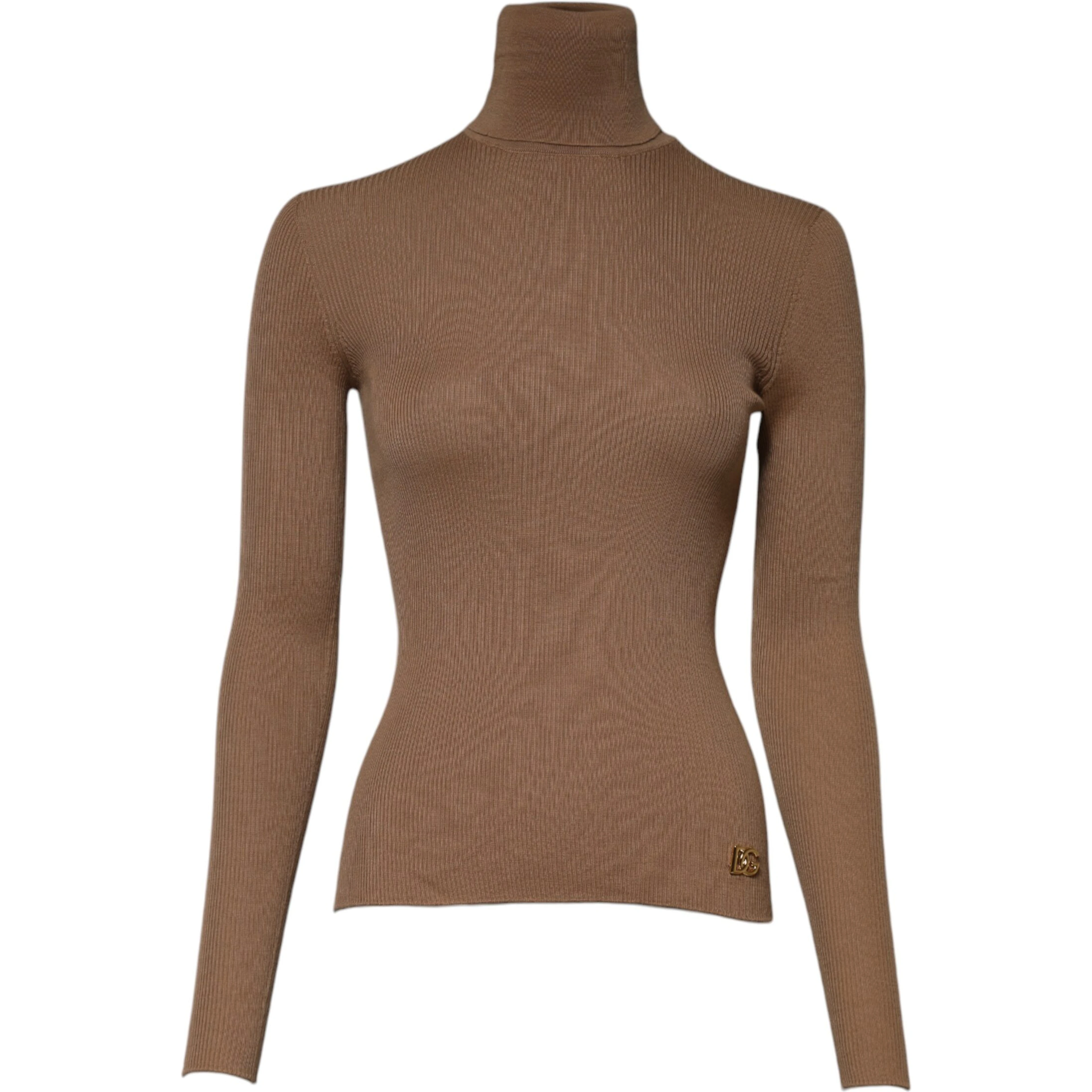 Brown Knit Long Sleeves Turtleneck Sweater