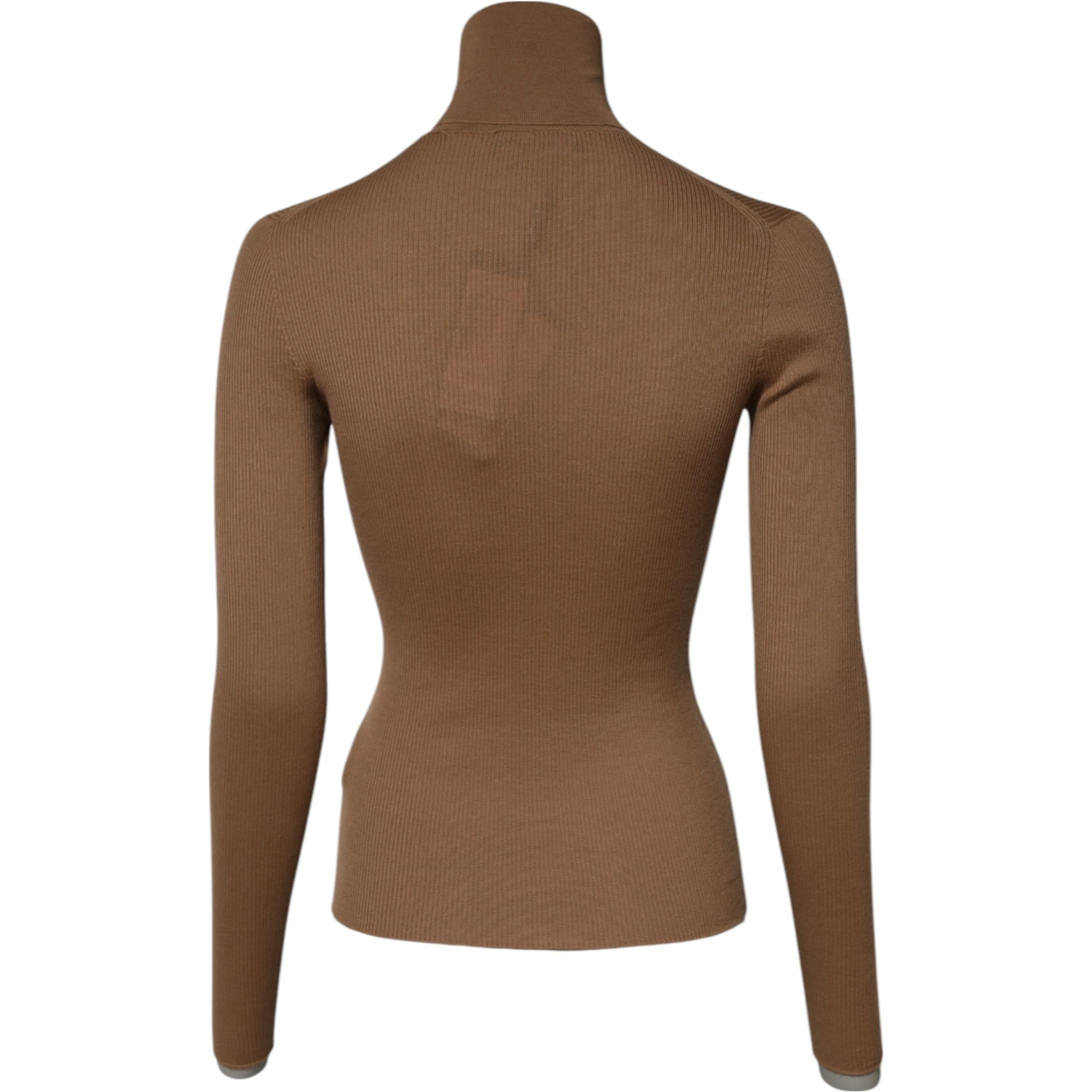 Brown Knit Long Sleeves Turtleneck Sweater