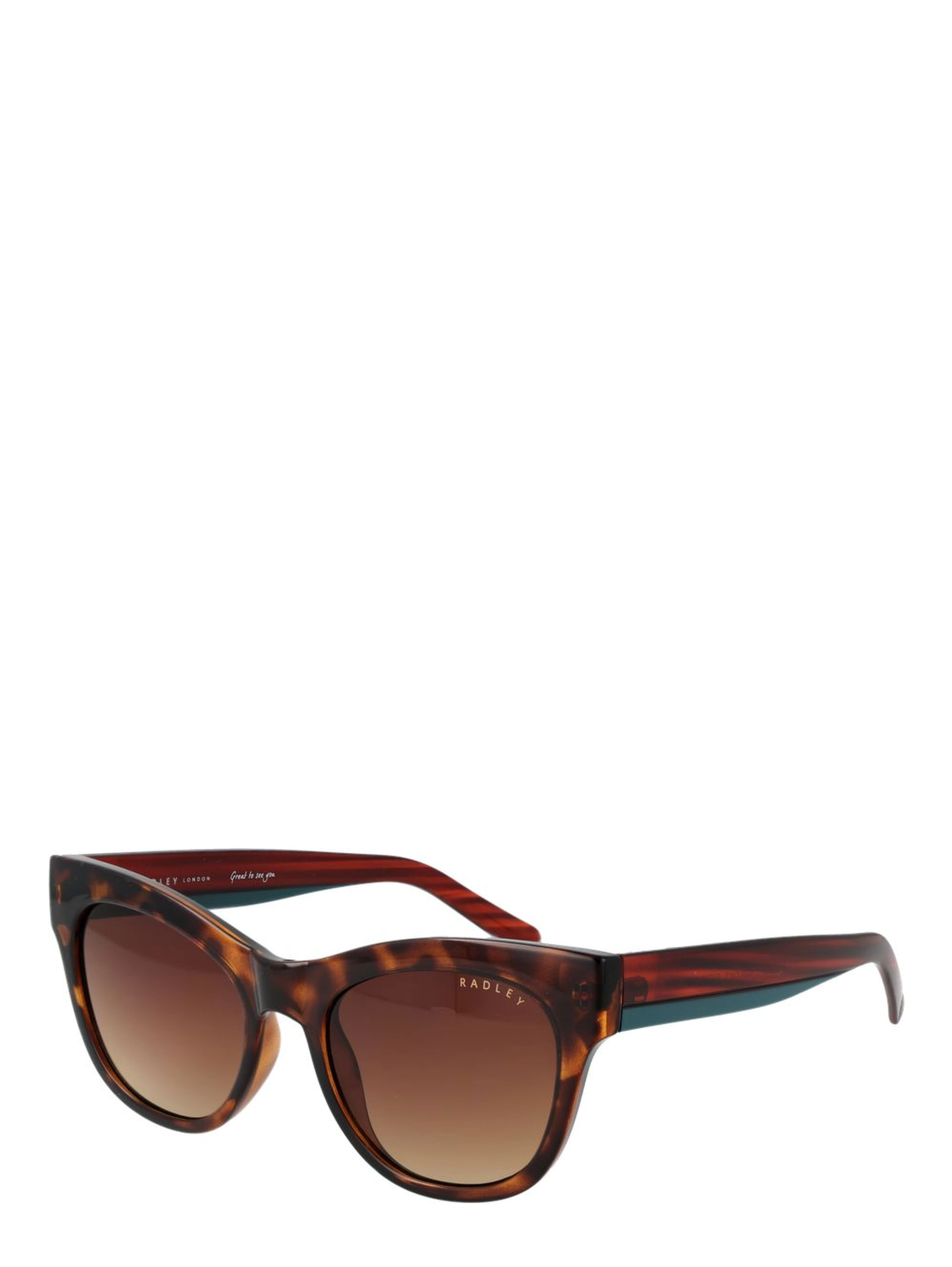 Brown Polycarbonate Sunglasses