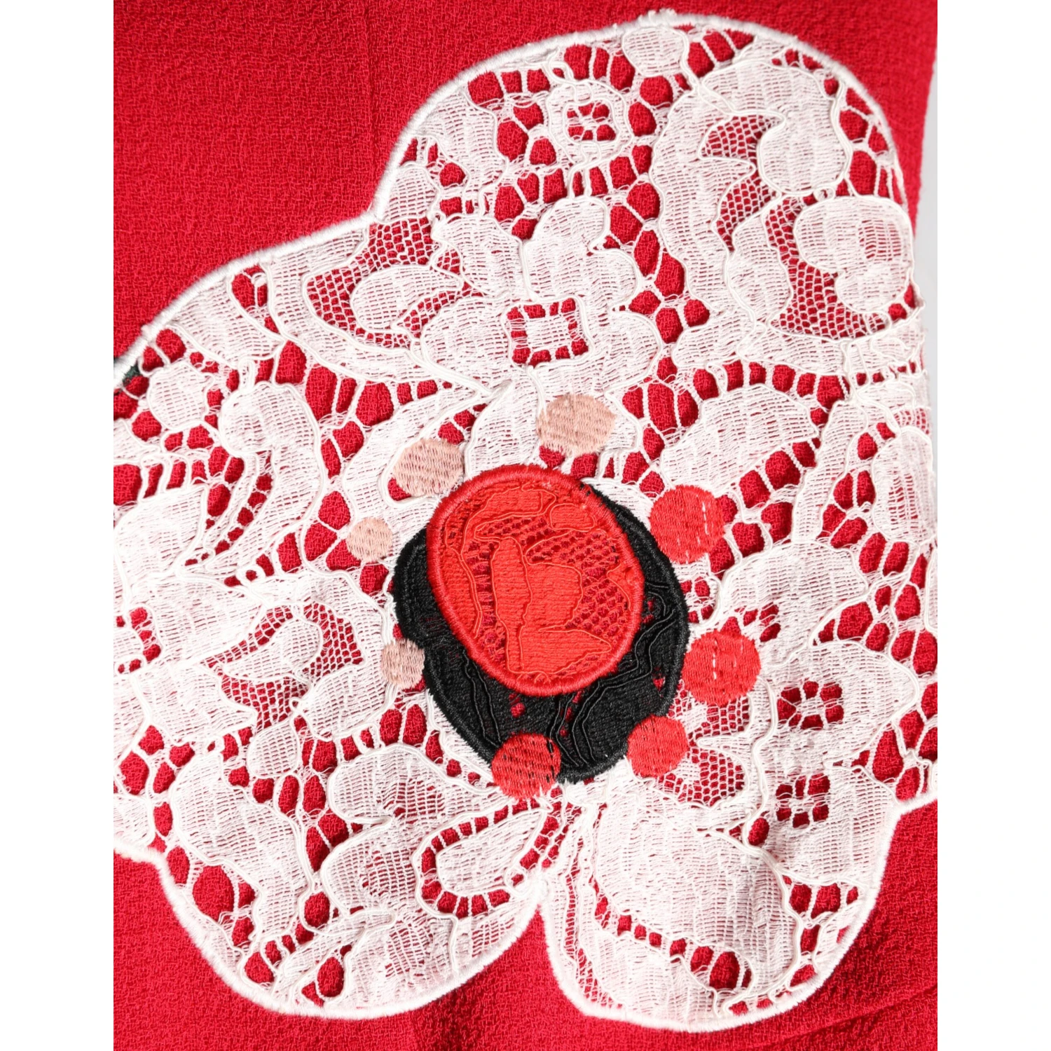 Red Lace Floral Applique A-line Mini Dress