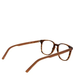 Brown Acetate Glasses (Frames)