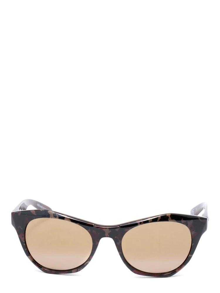 Brown Acetate Sunglasses alternative