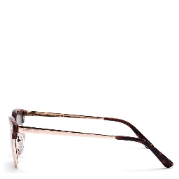 Brown Injected Sunglasses