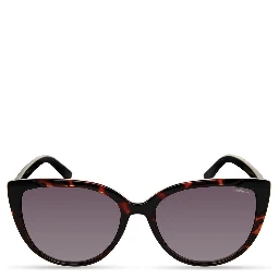 Black Injected Sunglasses
