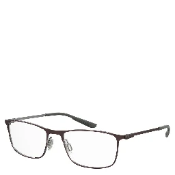 Brown Metal Glasses (Frames)