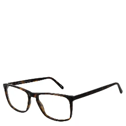 Brown Acetate Glasses (Frames)