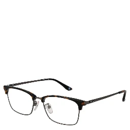 Brown Titanium Glasses (Frames)