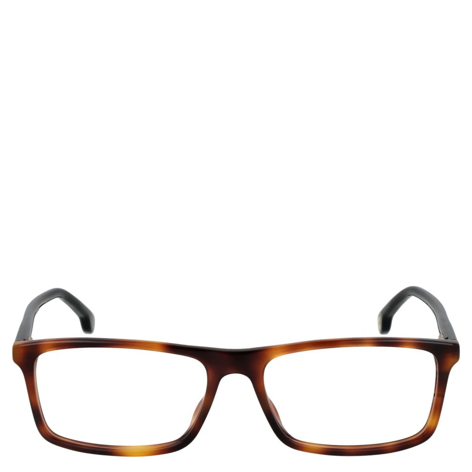 Brown Plastic Glasses (Frames)