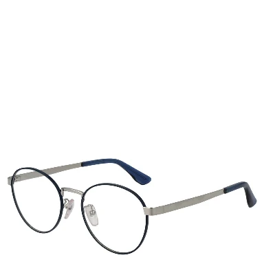 Blue Metal Glasses (Frames)