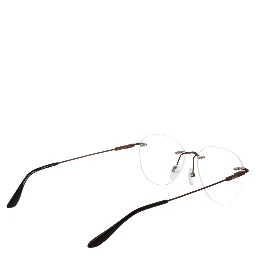 Bronze Titanium Glasses (Frames)