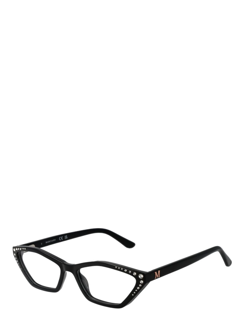 Black Plastic Glasses (Frames)