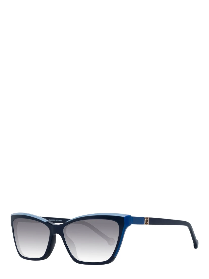 Blue Plastic Sunglasses