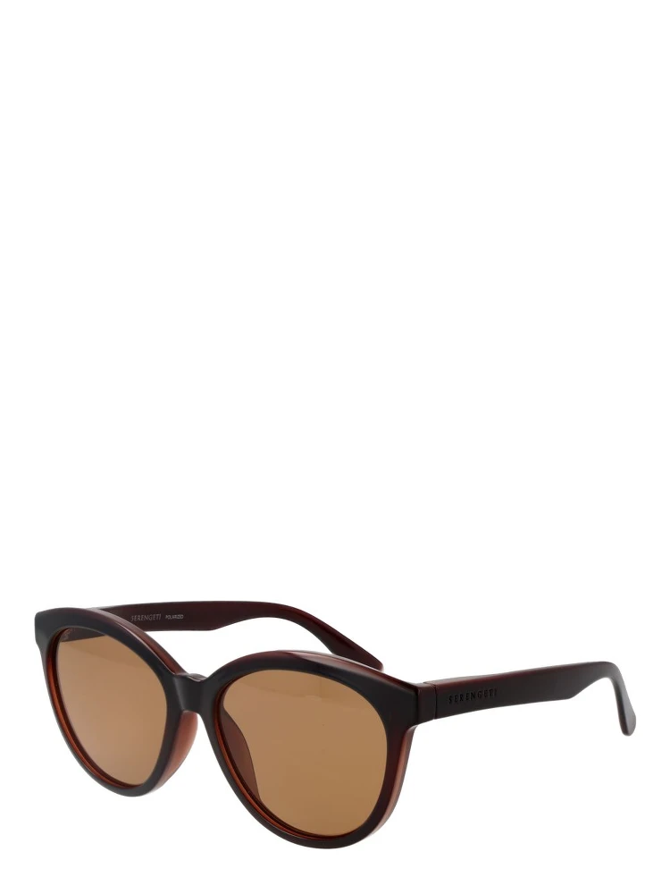 Brown Plastic Sunglasses
