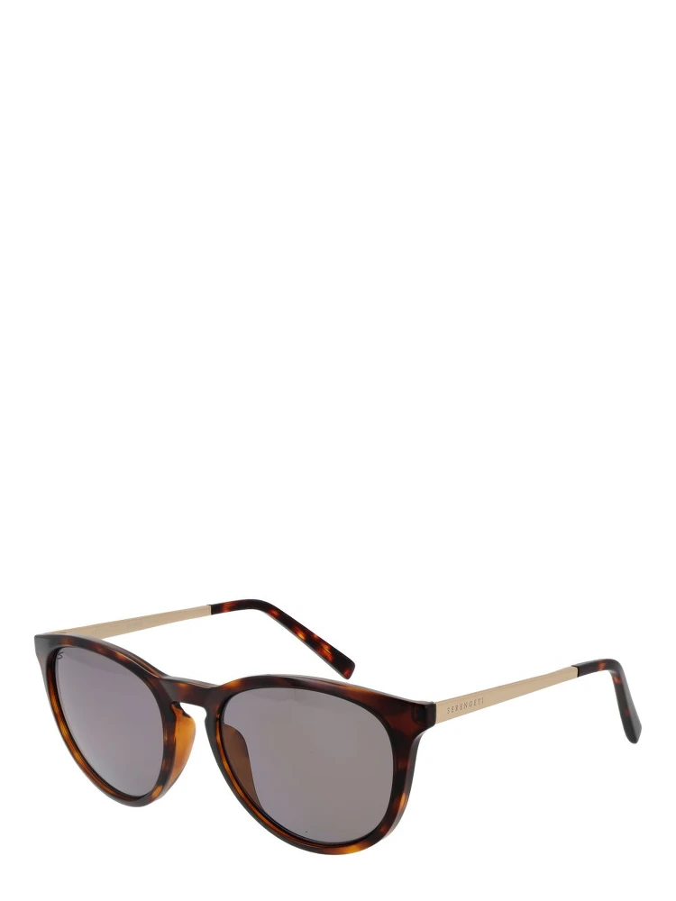 Brown Plastic Sunglasses