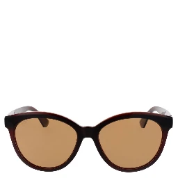 Brown Plastic Sunglasses