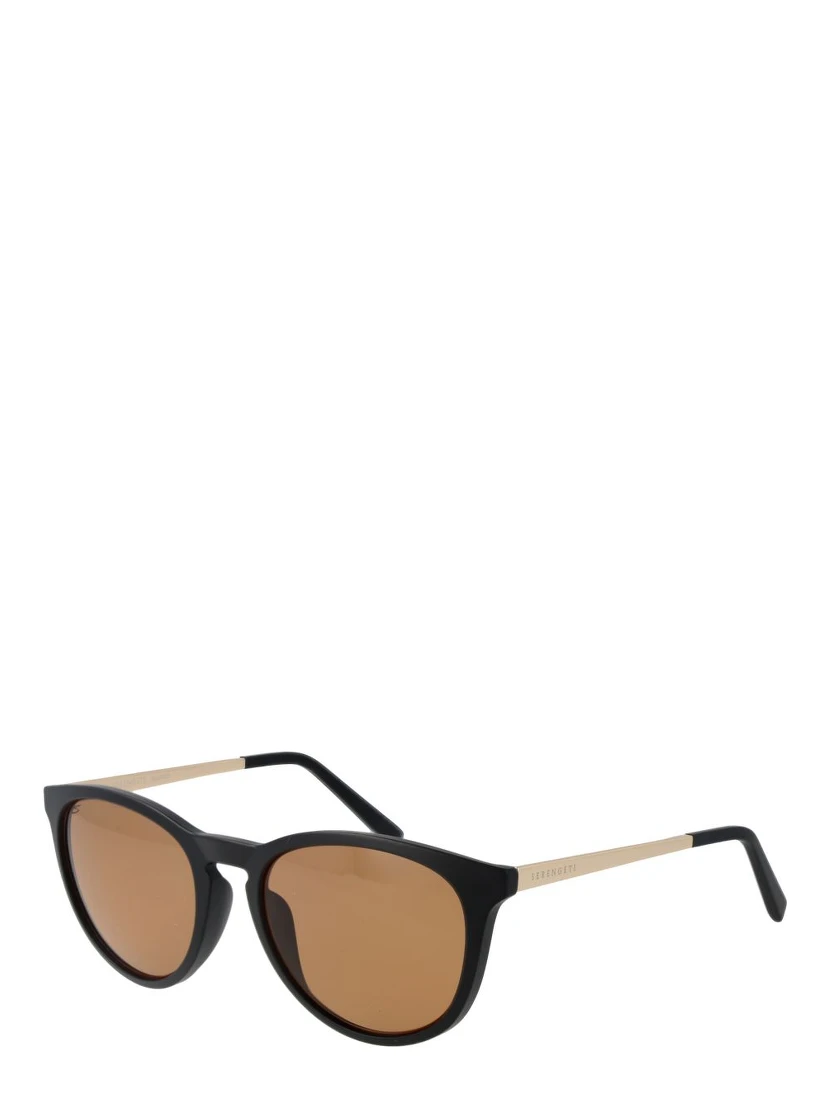 Black Plastic Sunglasses