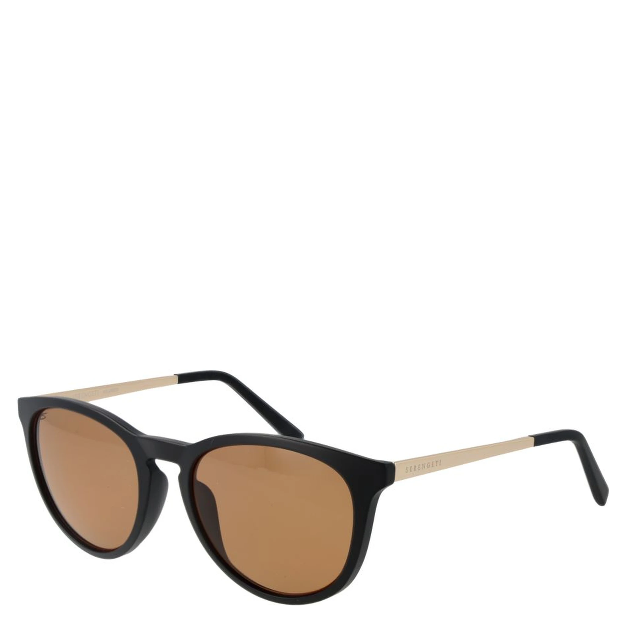 Black Plastic Sunglasses