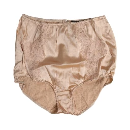 Beige Silk Lace High Waist Bikini Panty Underwear